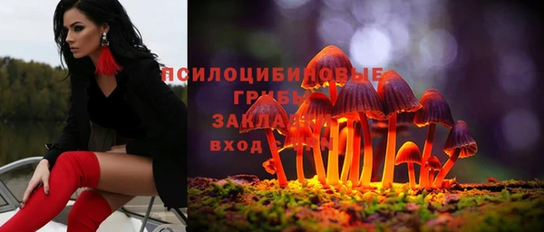 СК Навашино