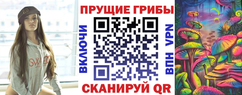 закладки mega маркетплейс Псилоцибиновые грибы Psilocybe Шилка